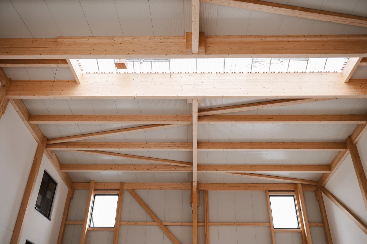 Binz-Holzbau Leistungsspektrum Statik