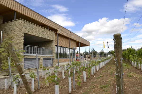 Binz Holzbau Referenzen Objektbau Johannes B Weingut Aussenansicht Weinreben 600